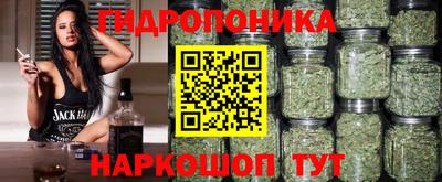 прущие крисы Янаул