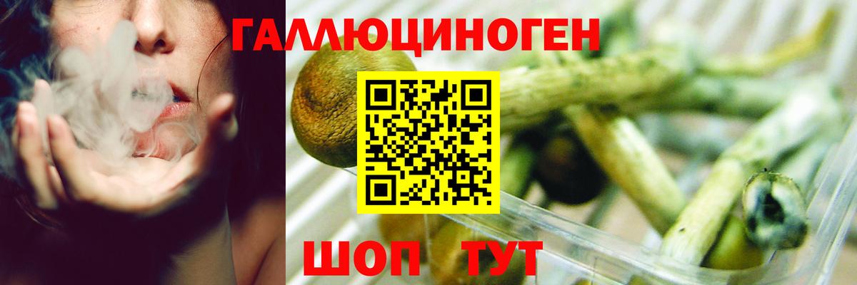 Псилоцибиновые грибы мицелий  Вход с VPN  Бузулук 